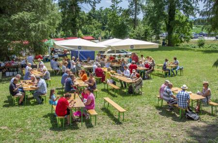 ODPRTJE GRADU DVOR (60)